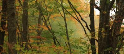 Прикрепленное изображение: z_b5ec2464.jpg